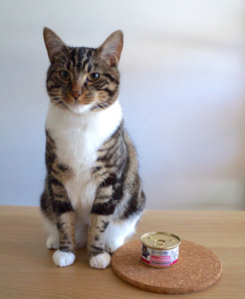 Fussy Cat Kitten Chicken Mousse The Best Cat Food Reviews