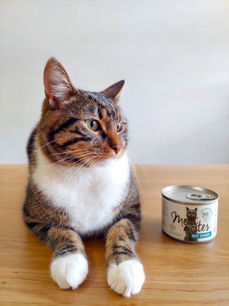 Meat Mates Beef The Best Cat Food Reviews 2022